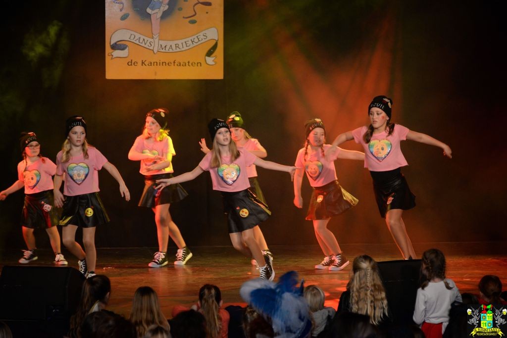 ../Images/Dansmarieke festival 2018 376.jpg